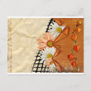 Cartão Postal Floral Daisy Blossoms Destino Jardins