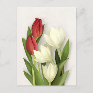 Cartão Postal Floral de Tulipas Vermelhas e Branca