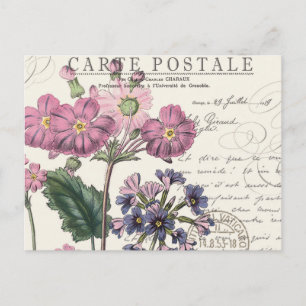 Cartão Postal floral francês de lavanda de colheita moderna