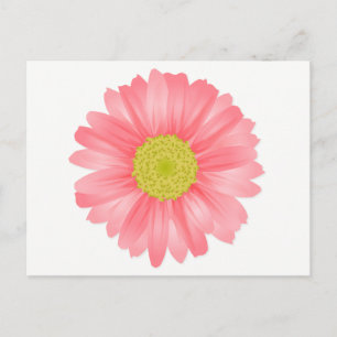 Cartão Postal Floral Gerbera Daisy Pink e Flor Amarelo