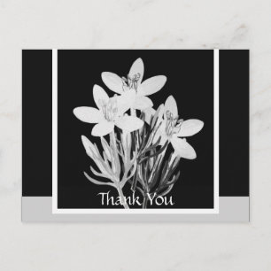 Cartão postal Floral Mínimo Preto e Branco