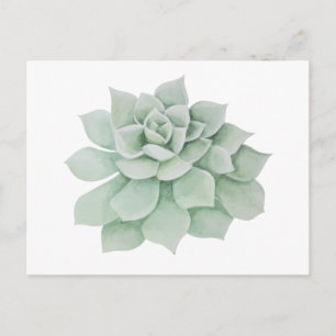 Cartão Postal Floral Obrigado Mint Green Succult Cactus
