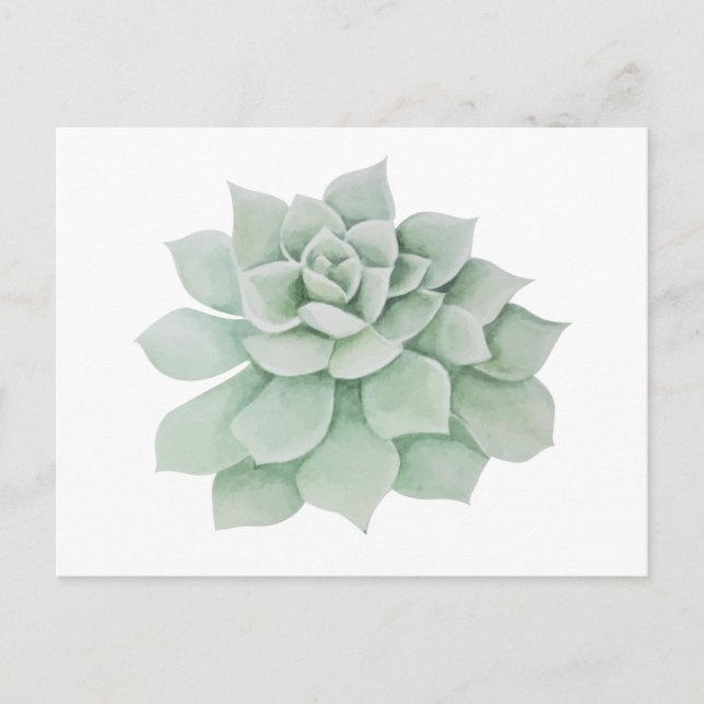Cartão Postal Floral Obrigado Mint Green Succult Cactus (Frente)
