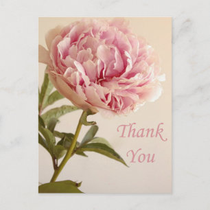 Cartão Postal Floral Obrigado Pink Peony Flower