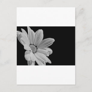 Cartão Postal Floral Pacífico