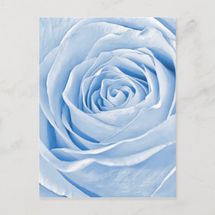 Cartão Postal Floral Photo Daee Light Blue Rosa