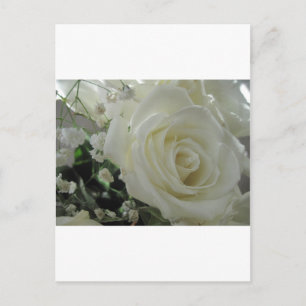 Cartão Postal Floral Rosa