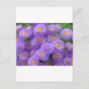 Cartão Postal Floral Roxo