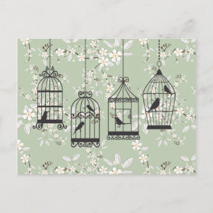 Cartão Postal Floral Verde Suave Com Birdcages