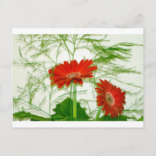 Cartão Postal Floral Vermelha