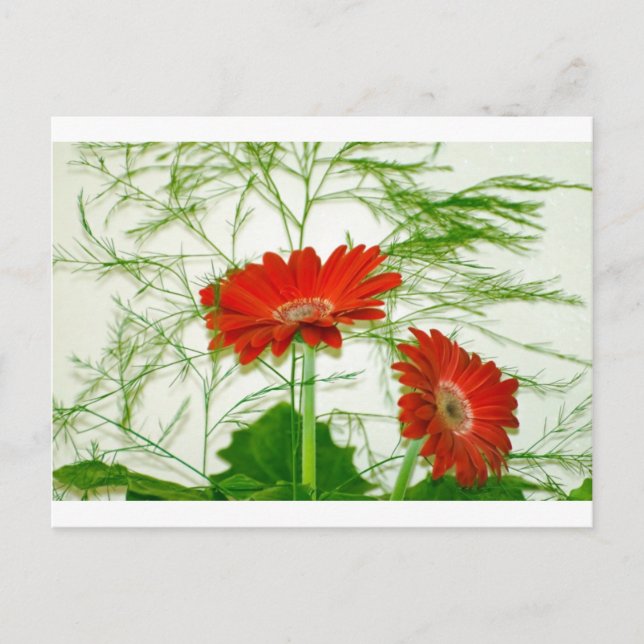Cartão Postal Floral Vermelha (Frente)