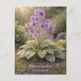 Cartão Postal Florens tardiva A Flor Tardia Botânica