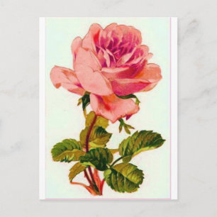 Cartão Postal Flores