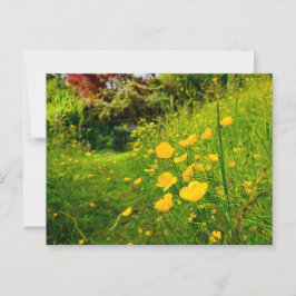 Cartão Postal Flores