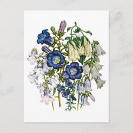 Cartão Postal Flores