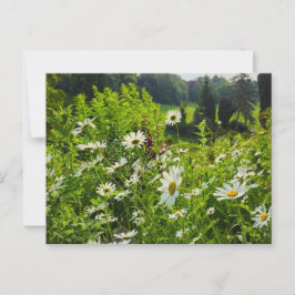Cartão Postal Flores