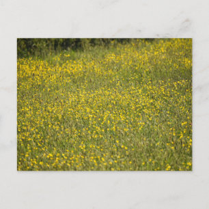 Cartão Postal Flores
