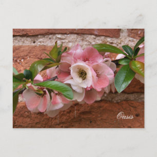 CARTÃO POSTAL FLORES