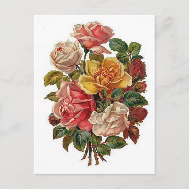 Cartão Postal Flores (Frente)