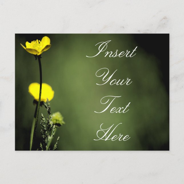 Cartão Postal Flores (Frente)