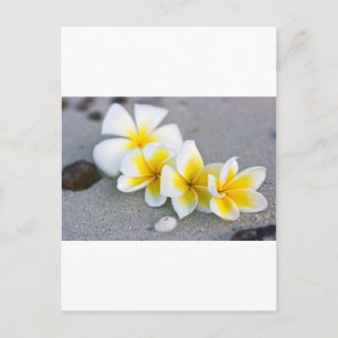 Cartão Postal Flores