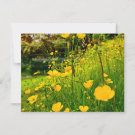 Cartão Postal Flores