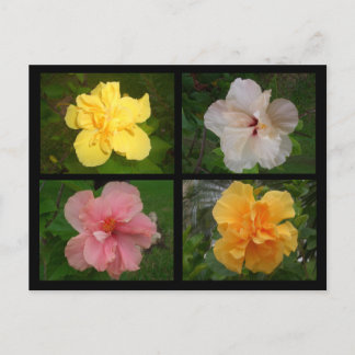 Cartão Postal Flores