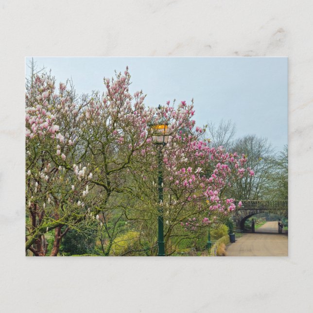 Cartão Postal Flores (Frente)