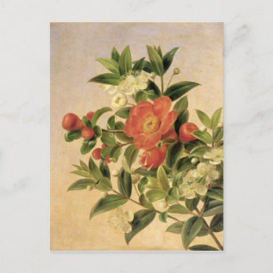 Cartão Postal Flores, 1835