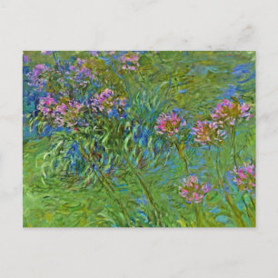 Cartão Postal Flores Agapanthus de Monet