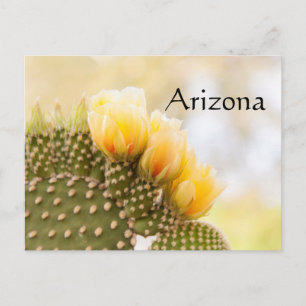 Cartão Postal Flores amarelas de cactus enquanto florescem no Ar