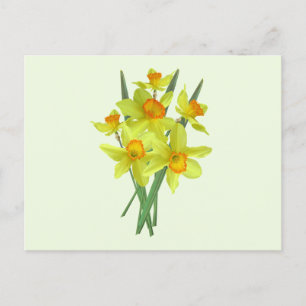 Cartão Postal Flores Amarelas de Daffodil