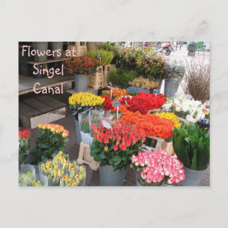 Cartão Postal Flores Amesterdã