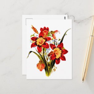 Cartão Postal Flores Antigas