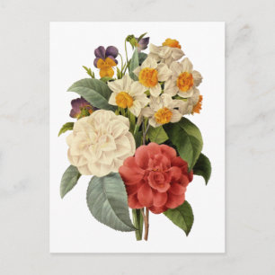 Cartão Postal Flores Antigas, Camélias e Narcisos, Redoute