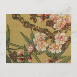 Cartão Postal Flores Asiáticas Japonesas de Cerejeira em Flor Vi