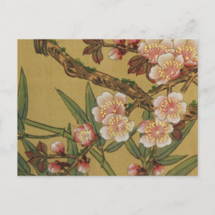 Cartão Postal Flores Asiáticas Japonesas de Cerejeira em Flor Vi
