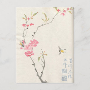 Cartão Postal Flores Asiáticas Postais Antigos