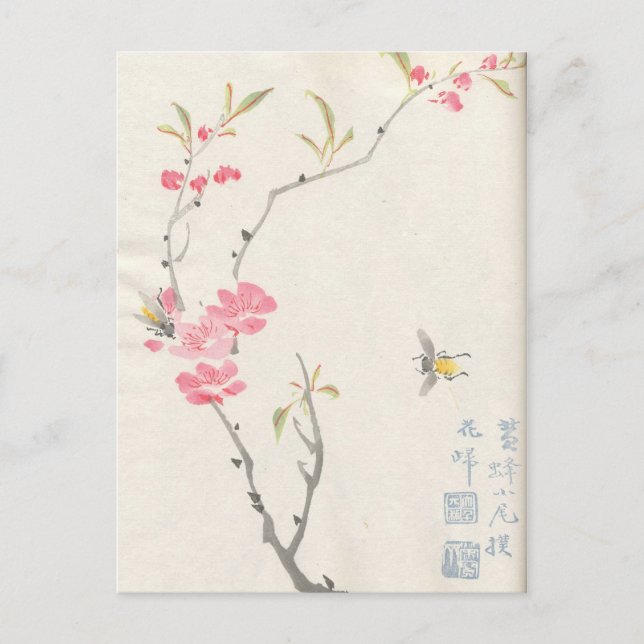 Cartão Postal Flores Asiáticas Postais Antigos (Frente)