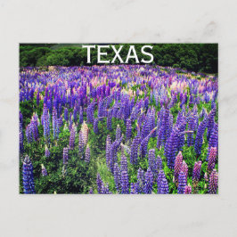 Cartão Postal Flores Azuis do Texas Texan Floral