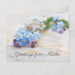 Cartão Postal Flores Azuis Esqueçam-me não Saudações do Alasca