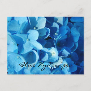 Cartão Postal Flores azuis, hydrangea