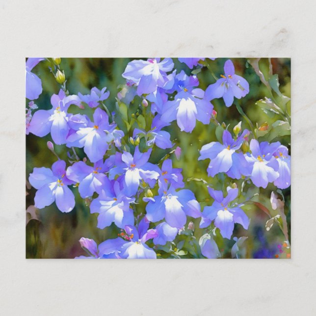Cartão Postal Flores Azuis Não Me Esqueças (Frente)