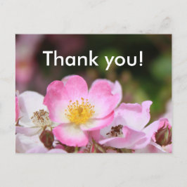 Cartão Postal Flores bonito, cor-de-rosa, rosa silvestre, para s