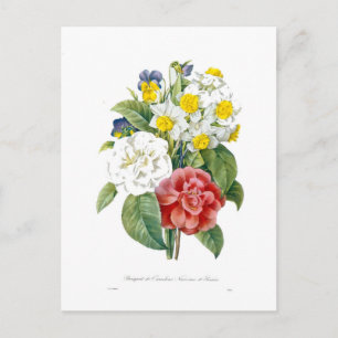 Cartão Postal flores botânicas coloridas vintage por Redoute.