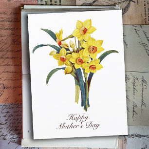 Cartão Postal Flores Botânicas Elegantes Vintage Narcisos Amarel