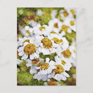 Cartão Postal Flores Brancas - Cartões-postais de pintura