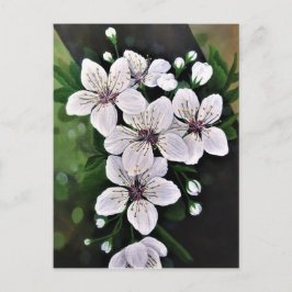Cartão Postal Flores Brancas De Cereja Arte Em Acrílico