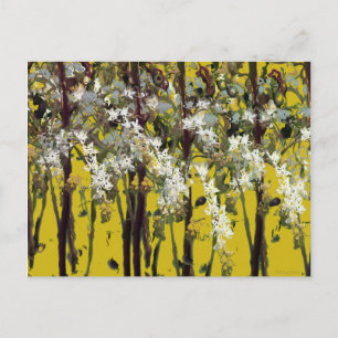 Cartão Postal Flores Brancas Pequenas