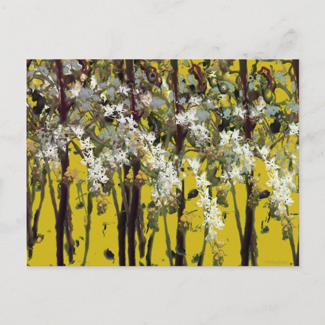 Cartão Postal Flores Brancas Pequenas (Frente)